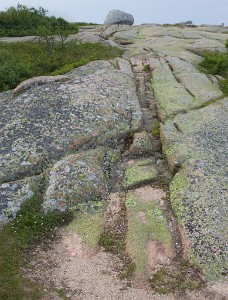 IF8X6297  Coarse-grained Pink Granite on the summit of Cadillac Mountain  &#169;  All Rights Reserved