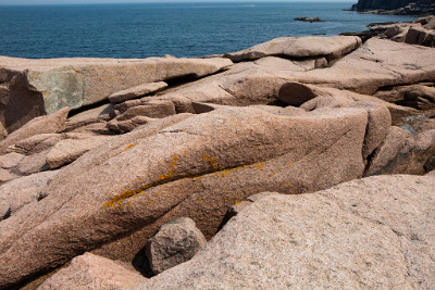 ZY9A7296  Yellow Lichen on the Granite Coast of Acadia National Park  &#169;  All Rights Reserved