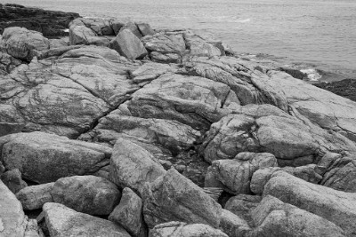 ZY9A7378  Rugged coastal rocks on the Ship Harbor Trail, Acadia National Park  &#169;  All Rights Reserved