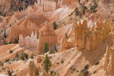 IF8X3898  Bryce Canyon  near  Sunrise Point  &#169;  All Rights Reserved
