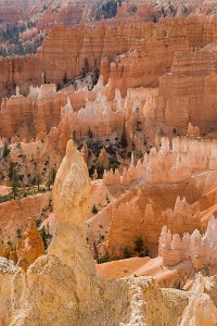IF8X3908  Hoodoos in Bryce Canyon  &#169;  All Rights Reserved