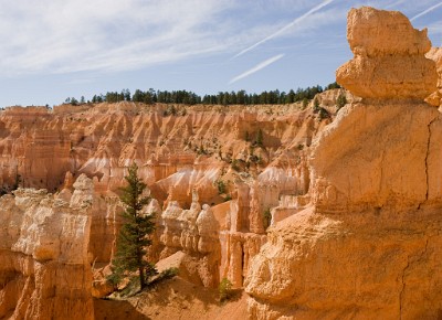 IF8X3922  Hoodoos from Queens Garden Trail  &#169;  All Rights Reserved