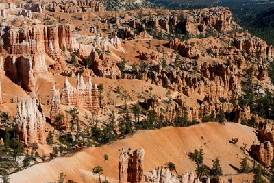 IF8X3996  Bryce Amphitheater from the Rim Trail  &#169;  All Rights Reserved