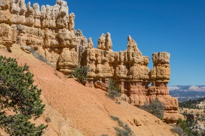 ZY9A6148  Hoodoos on the Rim Trail  &#169;  All Rights Reserved