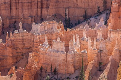 ZY9A6195  Sunrise Point looking into the Bryce Amphitheater  &#169;  All Rights Reserved