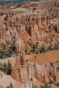 ZY9A6207  Statuesque Hoodoos seen from the Rim Trail  &#169;  All Rights Reserved