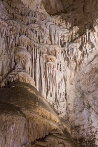ZY9A1909  Baleen-like limestone structures  &#169;  All Rights Reserved