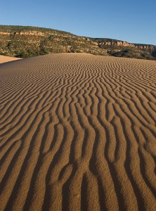 IF8X4161  Sand Ripples  &#169;  All Rights Reserved