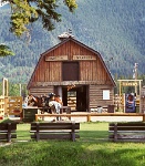 ba 001  Trail Ride stables in Banff  &#169; 2017 All Rights Reserved