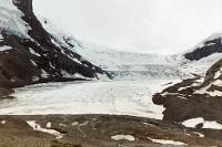 ba 158  The Athabasca Glacier  &#169; 2017 All Rights Reserved