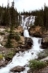 ba 171  Waterfalls on Icefields Parkway  &#169; 2017 All Rights Reserved