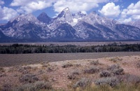 GrandTetons1    &#169; 2017 All Rights Reserved