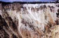 YellowStone6    &#169; 2017 All Rights Reserved