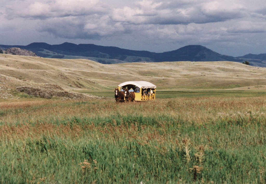 YellowStone8