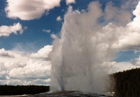 YellowStone1    &#169; 2017 All Rights Reserved