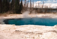 YellowStone5    &#169; 2017 All Rights Reserved