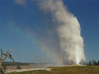 140  Old Faithful Geyser, Yellowstone National Park  &#169; 2017 All Rights Reserved