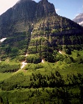 171  Lush vegetation near Logan Pass, Glacier National Park  &#169; 2017 All Rights Reserved