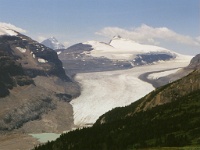 257  A great view of the Saskatchewan Glacier, Banff National Park  &#169; 2017 All Rights Reserved