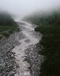 303  A river in the mist at Mount Rainier National Park  &#169; 2017 All Rights Reserved