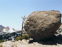 408  A boulder near the Bumpass Hell hiking trail, Lassen National Park  &#169; 2017 All Rights Reserved