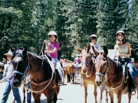 469  Jessica, Carol, and Michelle at the end of the trail ride in Yosemite National Park  &#169; 2017 All Rights Reserved