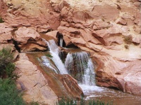 631  A water fall in Capital Reef National Park  &#169; 2017 All Rights Reserved