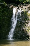 HW137  A small waterfall on the road to Hana  &#169; 2017 All Rights Reserved