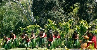 Hw242  Traditional hula dancers in Hawaii Volcanoes National Park  &#169; 2017 All Rights Reserved