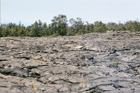 Hw254  A large field of Pahoehoe lava near Chain of Craters road  &#169; 2017 All Rights Reserved