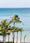 Hw369  Waikiki Beach from our condo  &#169; 2017 All Rights Reserved