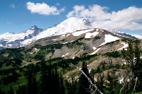 sv2k0034  A great view of Mount Rainier  &#169; 2017 All Rights Reserved