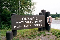 sv2k0087  Entrance to Hoh Rain Forest at Olympic National Park  &#169; 2017 All Rights Reserved