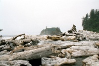 sv2k0132  Cedar logs at Ruby Beach at Olympic National Park  &#169; 2017 All Rights Reserved