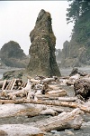 sv2k0134  Sea stacks and driftwood at Ruby Beach at Olympic National Park  &#169; 2017 All Rights Reserved