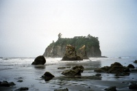 sv2k0144  Sea stacks on the Pacific viewed from Ruby Beach in Olympic National Park  &#169; 2017 All Rights Reserved