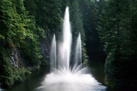 sv2k0259  The Ross Fountain at Butchart Gardens  &#169; 2017 All Rights Reserved