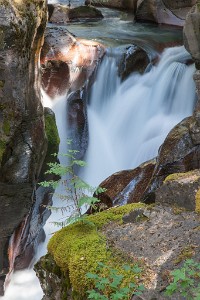 IF8X9700  Waterfalls on the Trail of Cedars - Avalanche Lake hike  &#169;  All Rights Reserved