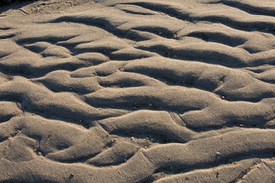 ZY9A3303  Sand Ripples - Sandy Hook  &#169;  All Rights Reserved