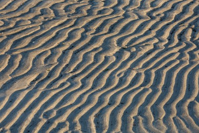 ZY9A3316  Sand Ripples - Sandy Hook  &#169;  All Rights Reserved