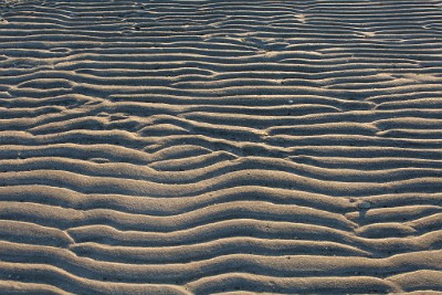 ZY9A3326  Sand Ripples - Sandy Hook  &#169;  All Rights Reserved