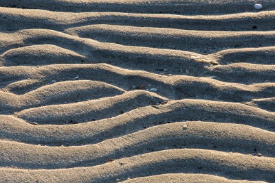 ZY9A3328  Sand Ripples - Sandy Hook  &#169;  All Rights Reserved