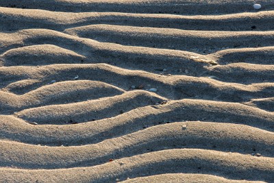 ZY9A3328  Sand Ripples - Sandy Hook  &#169;  All Rights Reserved