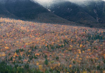 IF8X6432   Fall Colors in the White Mountains  &#169;  All Rights Reserved