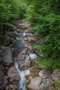 ZY9A4809  The Pemigewasset River from the Sentinel Pine Covered Bridge  &#169;  All Rights Reserved