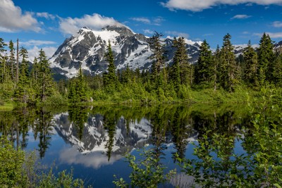 ZY9A1208  Mount Shuksan from Highwood Lake Mount Baker Scenic Byway  &#169;  All Rights Reserved