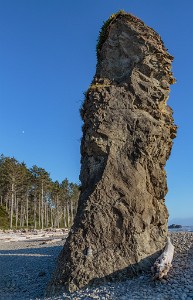 ZY9A0613  Ruby Beach  &#169;  All Rights Reserved