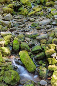ZY9A0711  Mossy rocks on the Sol Duc Falls Hike  &#169;  All Rights Reserved