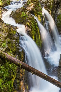 Olympic National Park