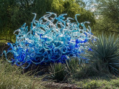 IMG 0408  CHIHULY Blue Fiori Sun  &#169;  All Rights Reserved